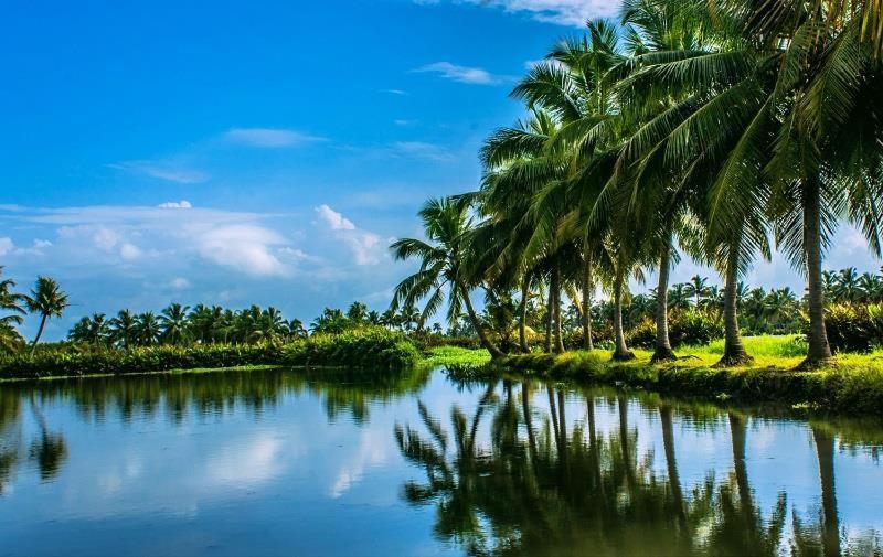 Golden Beach Home Stay Alappuzha Екстериор снимка