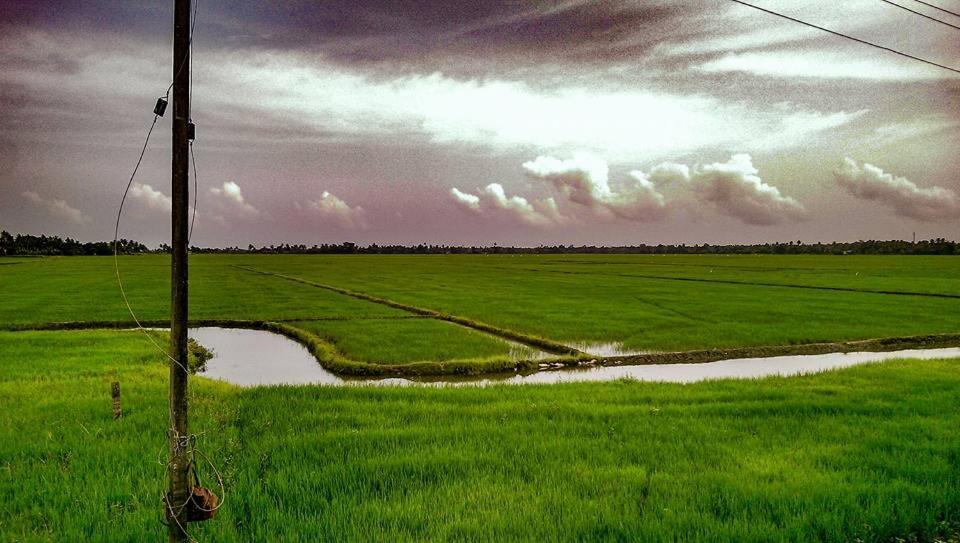 Golden Beach Home Stay Alappuzha Екстериор снимка
